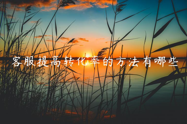 客服提高轉(zhuǎn)化率的方法有哪些